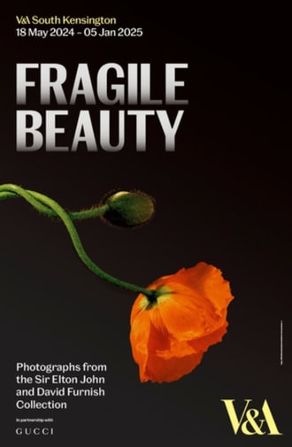 Cyber Made Human Bookshelf: Fragile Beauty by Sir Elton John and David Furnish